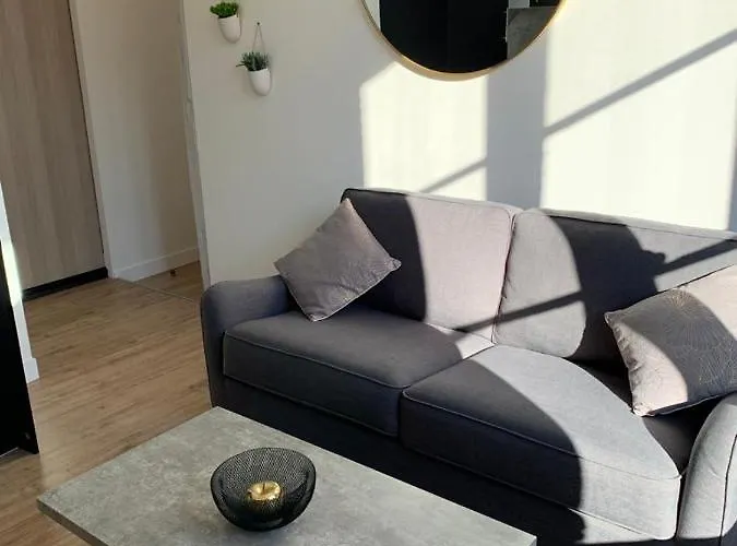 Daire Lumineux Capitole Plein Centre